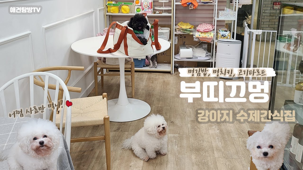 강아지 수제간식집, 부띠끄멍 애견동반카페(Dog food pet cafe)