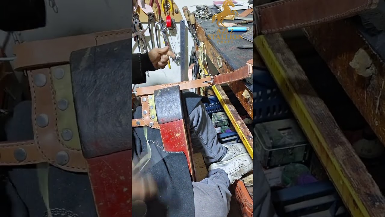 فصلات نظارات طقم الخيول 