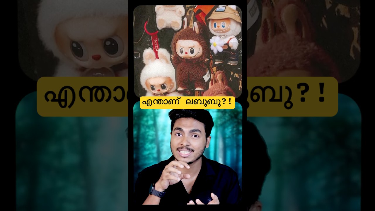 എന്താണ് ലബുബു ? ആളുകൾ എന്തിന് മേടിക്കുന്നു ?? WHAT IS LABUBU IN MALAYALAM