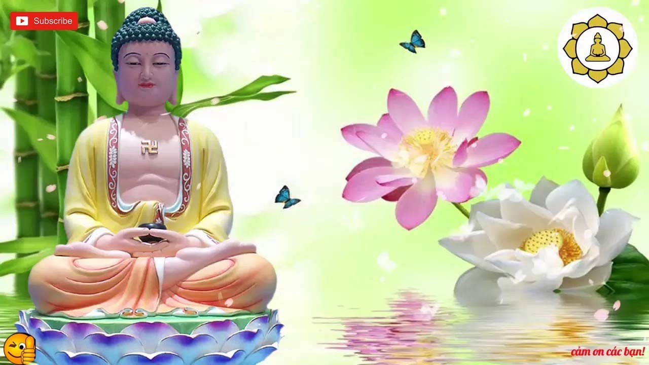 Thương Ghét Buồn giận '' Là Do Đâu '' Hãy Nghe Một Lần '' Để Tiêu Tan Mọi Phiền Não Lo Âu