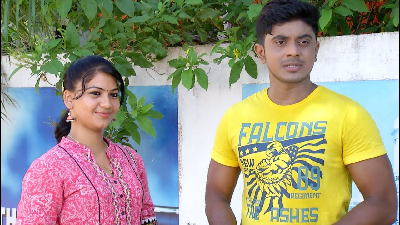 Priyamanaval Episode 183,  24/08/15