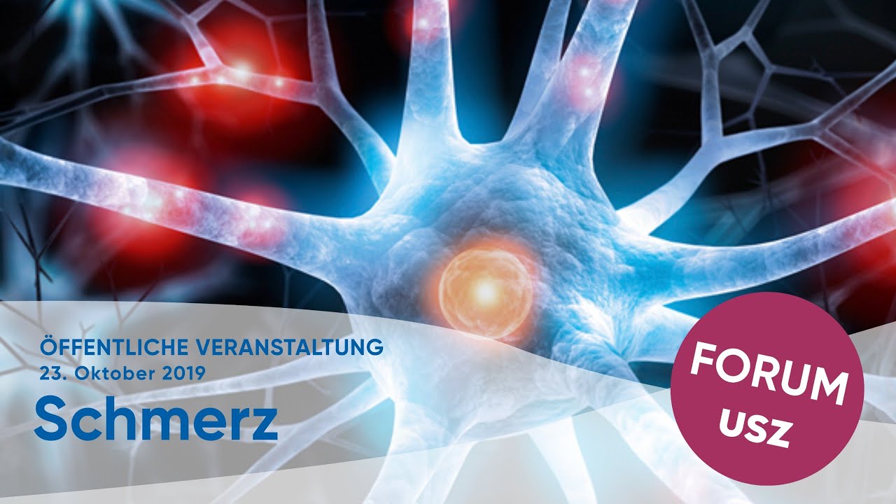 Forum (Livestream): Wenn der Schmerz den Alltag bestimmt
