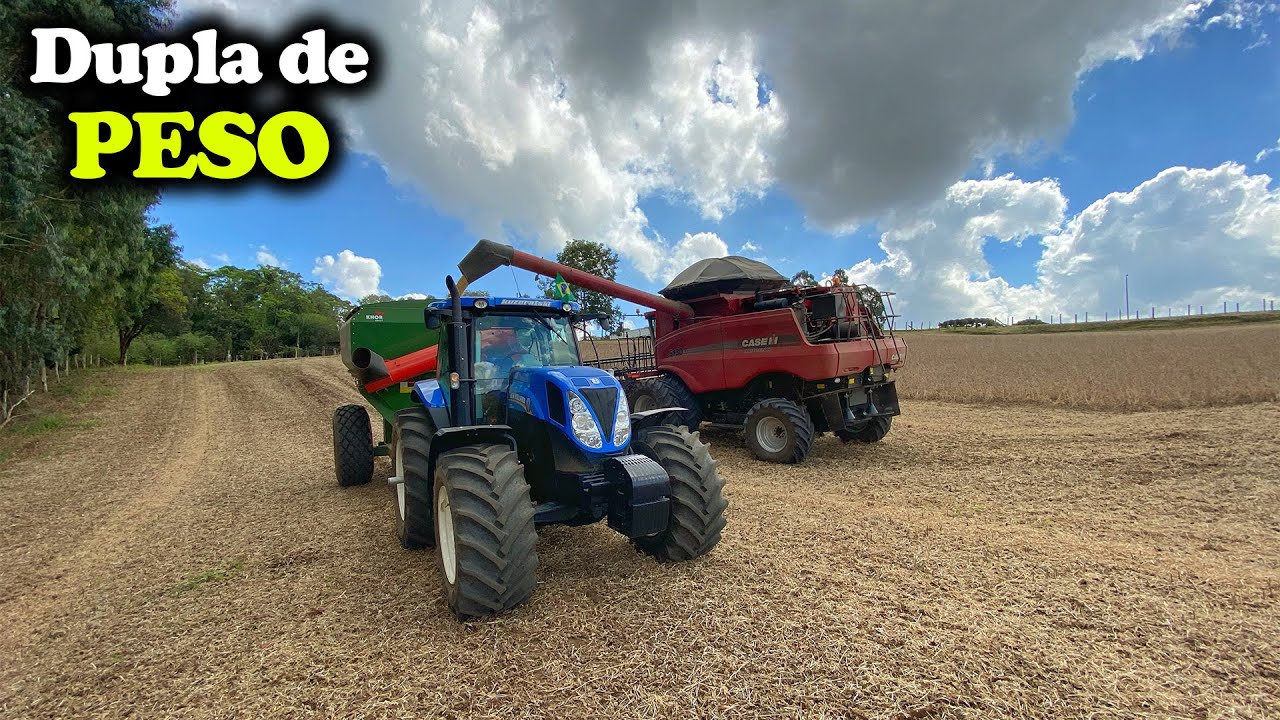 CASE 5130 BOTANDO PRESSÃO NA COLHEITA E T7.175 NA BAZUCA!!!