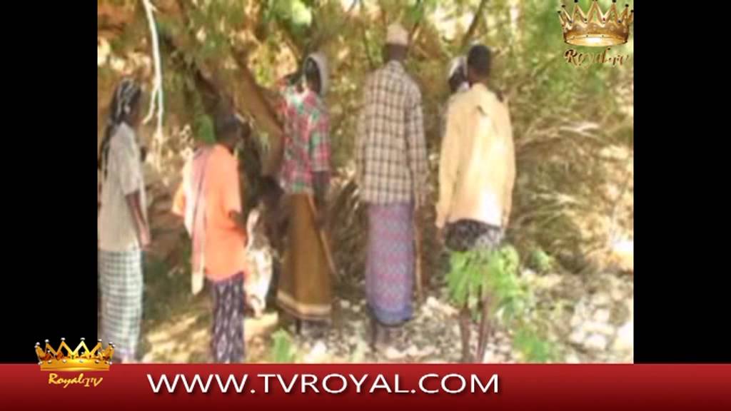Royal 24 tv FAALO KU SABSAN DEGMADA ISKU SHUBAN / Axmed jokar