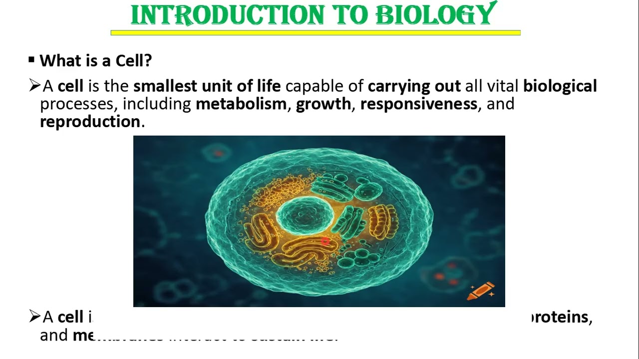 ВВЕДЕНИЕ В БИОЛОГИ