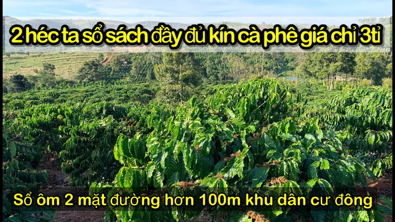2ha sổ sách đầy đủ giá chỉ 3 tỉ đường sá thuận tiện đất triền thoải đất đỏ không sỏi đá khu dân cư