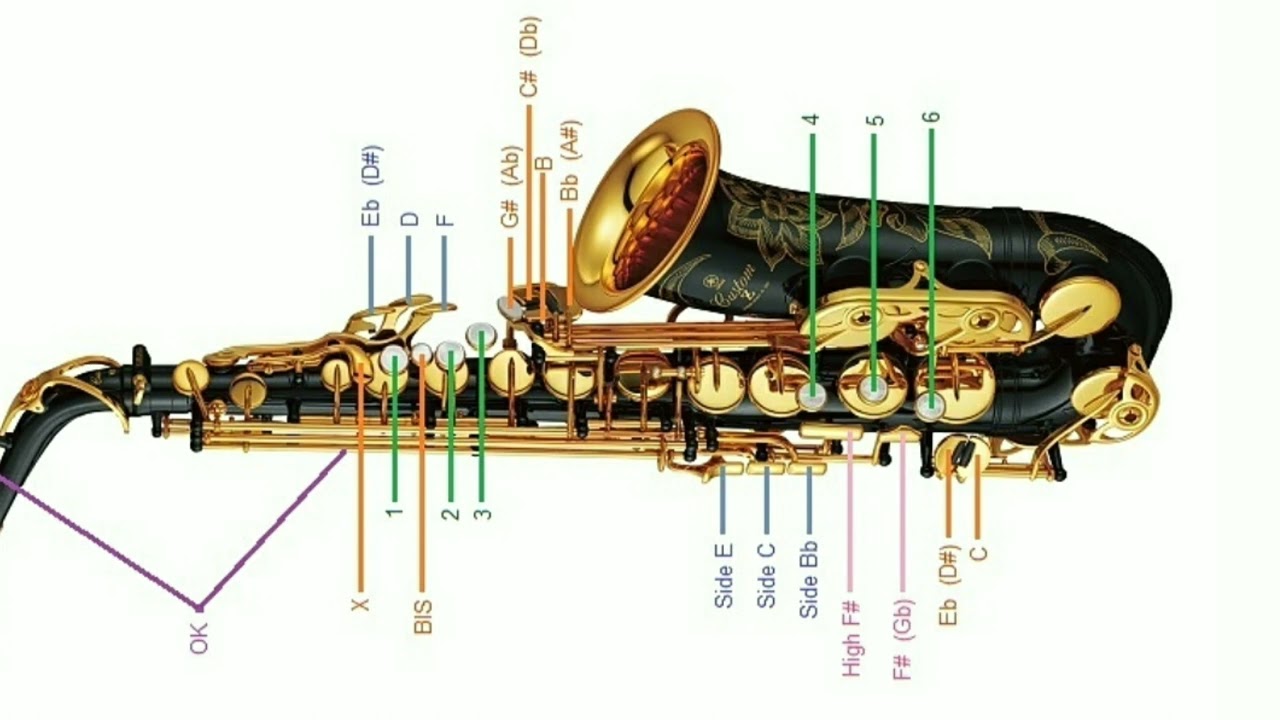 PARTS OF SAXOPHONE