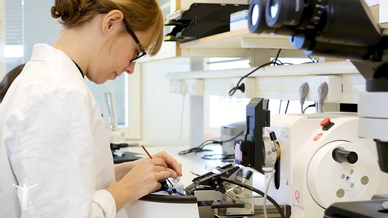 How we ensure antibody specificity and reproducibility at Atlas Antibodies