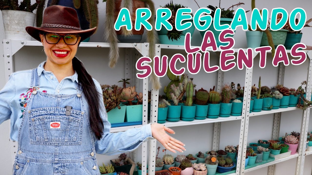 Organicé mis suculentas como antes y me encantó │Candy Bu
