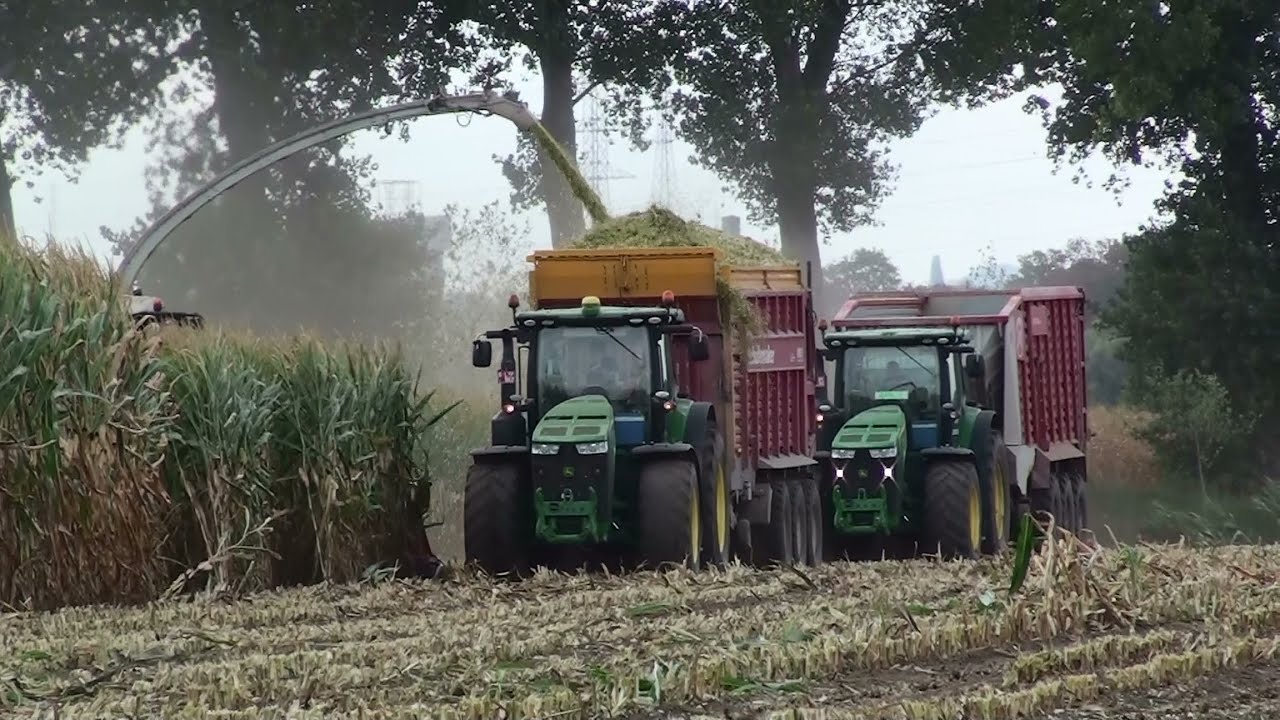Mais Hakselen 2018 : Part 2 / Egide London / Claas Jaguar 980 / John Deere 8370R/8345R