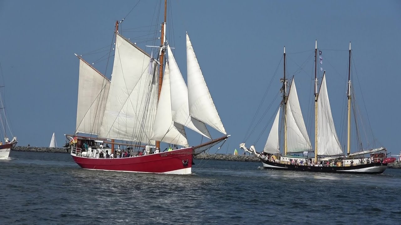 So war die Hansesail 2025 in Rostock-Warnemünde