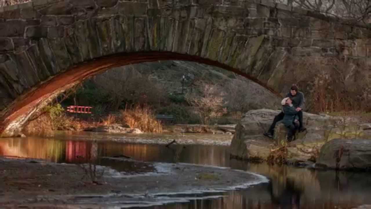 Central Park Proposal, New York City -  Bernard & Noreth