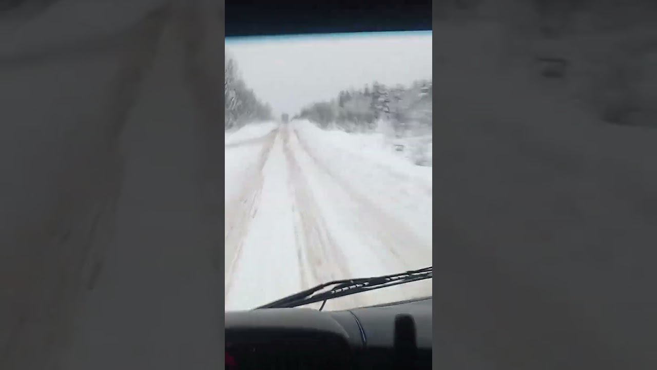 Лесовозная тема. 