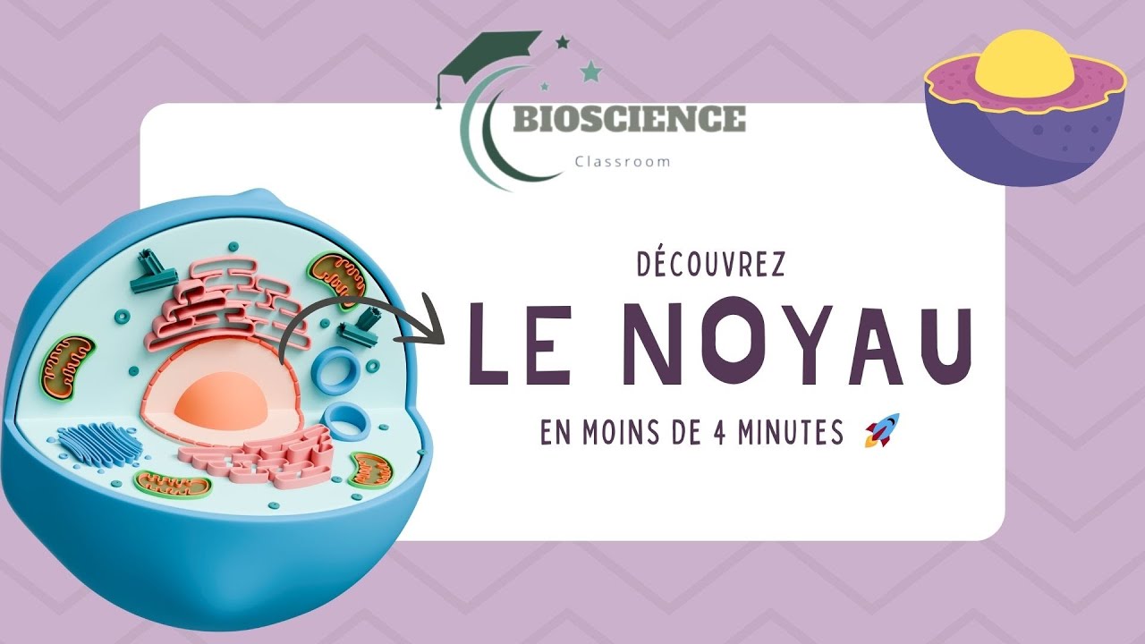Vid&eacute;o 1 noyau cellulaire / G&eacute;n&eacute;ralit&eacute;s