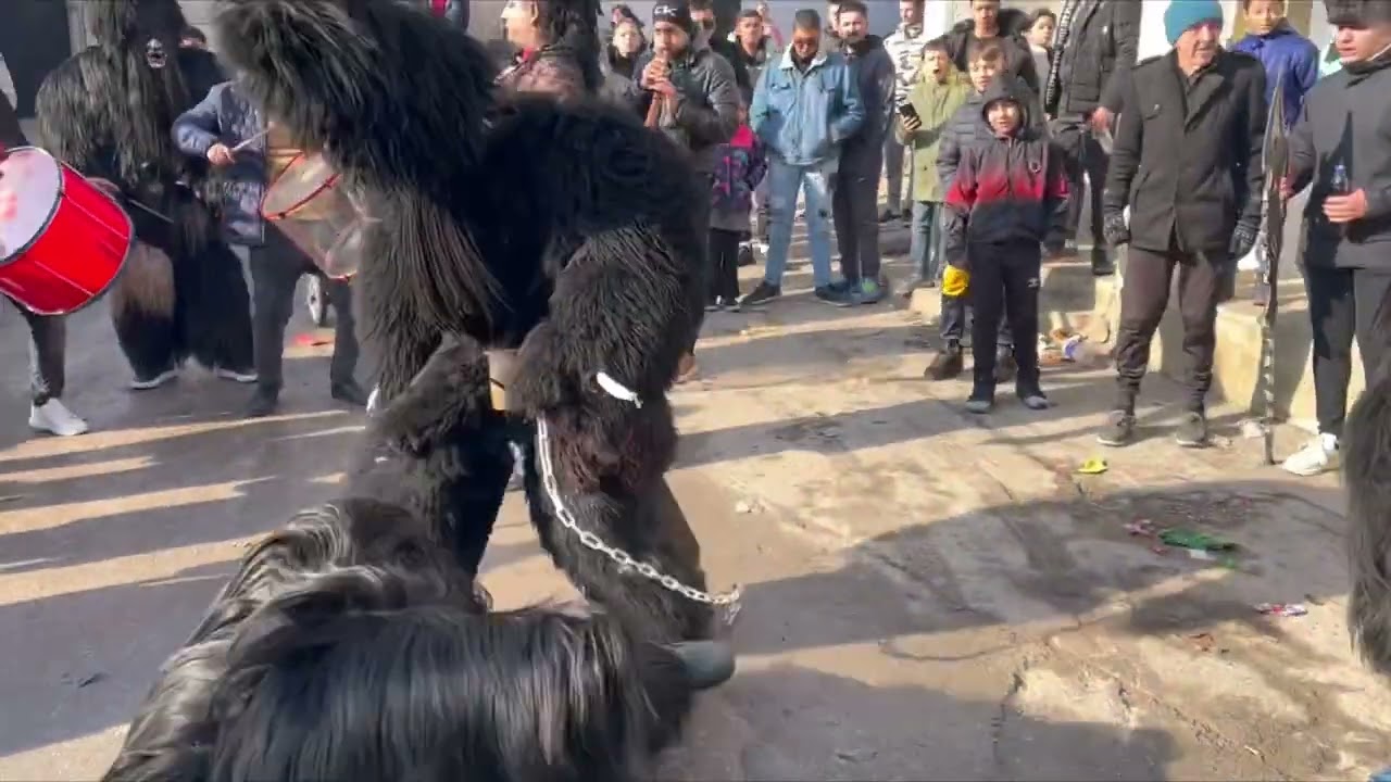 Babari 2023