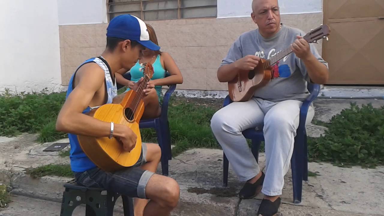 Apure en un viaje- Bandola llanera