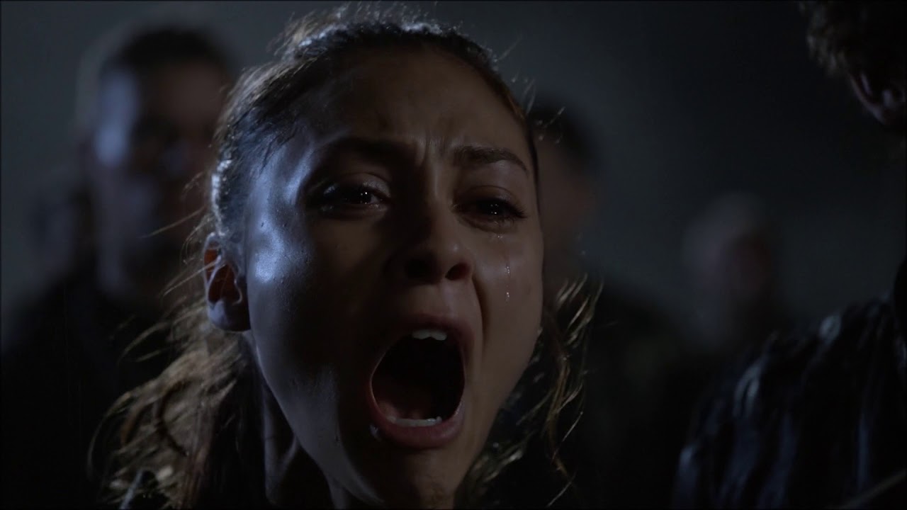 The 100 Girls - You Don't Know What it's Like