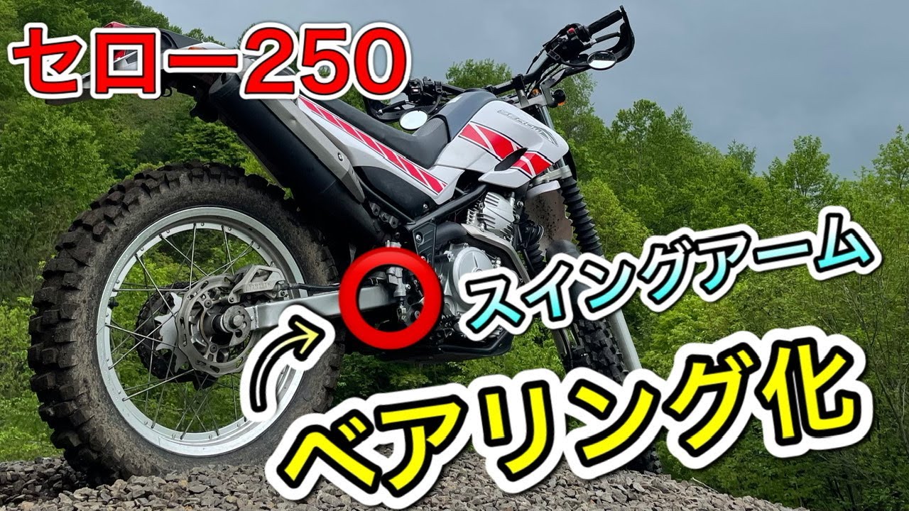 【セロー250】意外と簡単！？スイングアームのベアリング化！