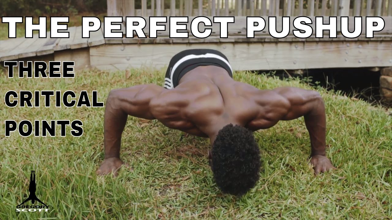 How To Do The PERFECT Push-Up