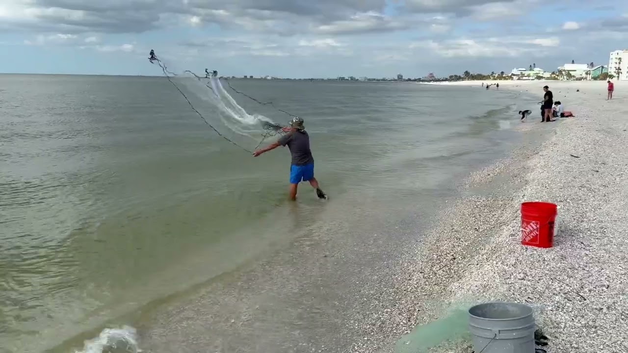 Hungry ?…food in the sea 