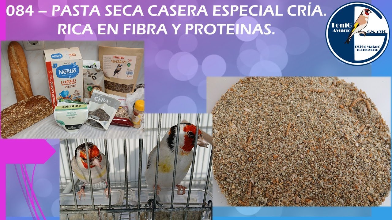 084 PASTA SECA CASERA ESPECIAL CRÍA  RICA EN FIBRA Y PROTEÍNAS