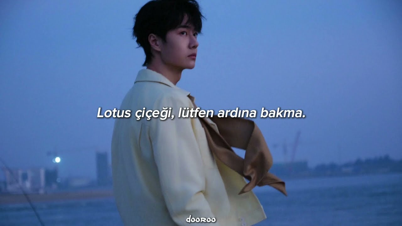 Wang Yibo - Everything is Lovely (Türkçe Çeviri)