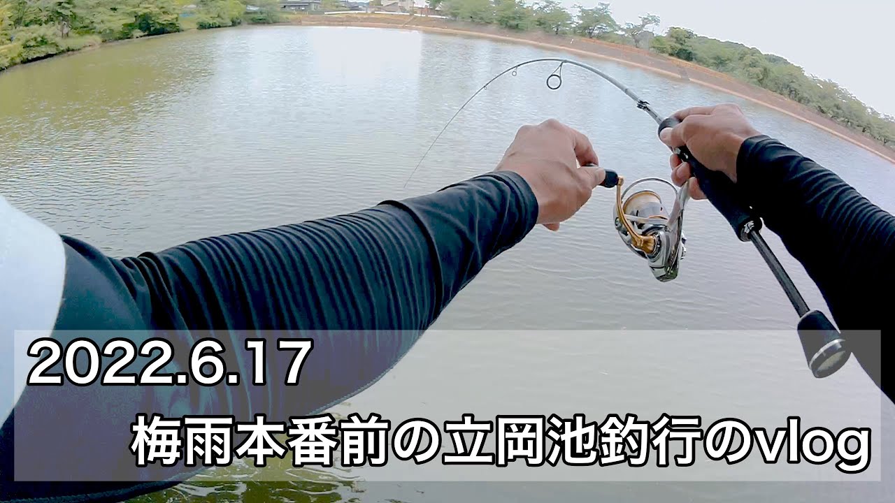6/17 梅雨本番前の立岡池釣行のvlog