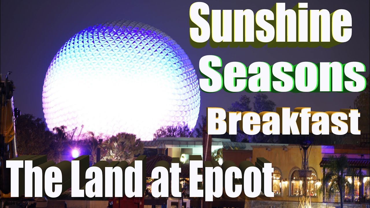 Sunshine Seasons Food Court at the Land - Vegan & non-vegan review - Epcot - Walt Disney World