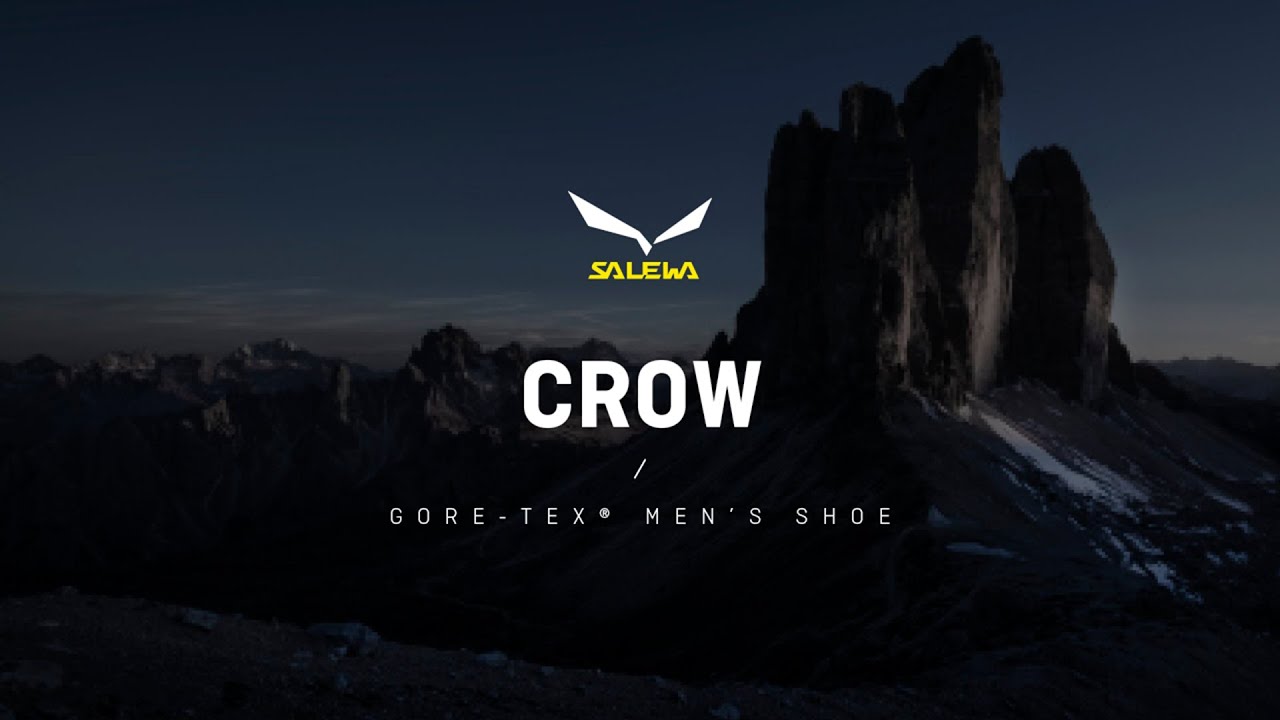 Salewa | Crow Gore-Tex&reg; Men's Shoes