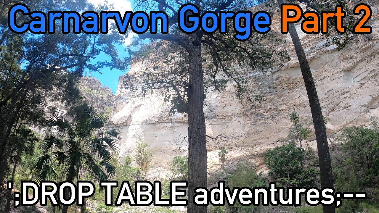 DTA Rev2.0 #16 - Carnarvon Gorge Pt 2 - Cathedral Cave, Boowinda Gorge, The Bend, Art Gallery + more