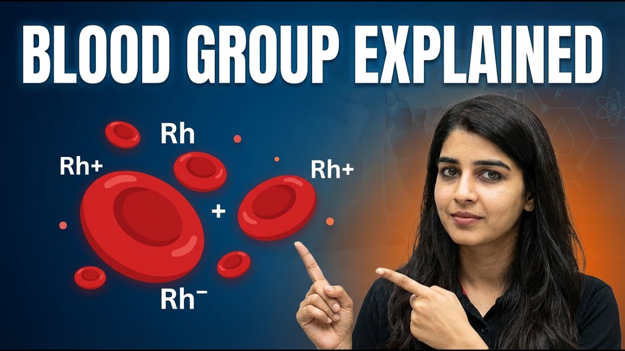 Blood Group & Rh Factor Explained | Most Important for Exams 🔥