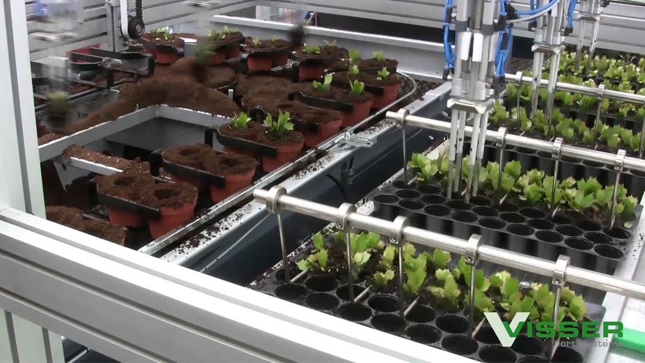 Visser Horti Systems - PC-11-6 - Hofland