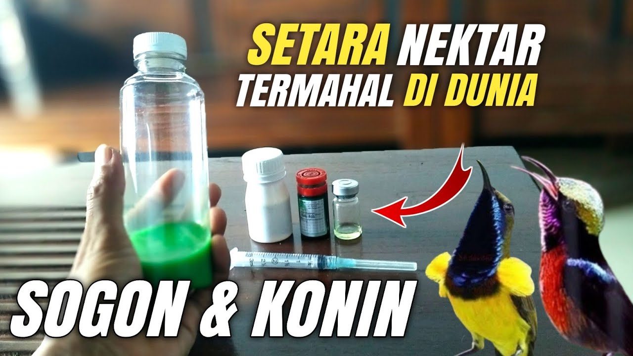 Jangan heran NEKTAR PABRIKAN Lewat jauh‼️