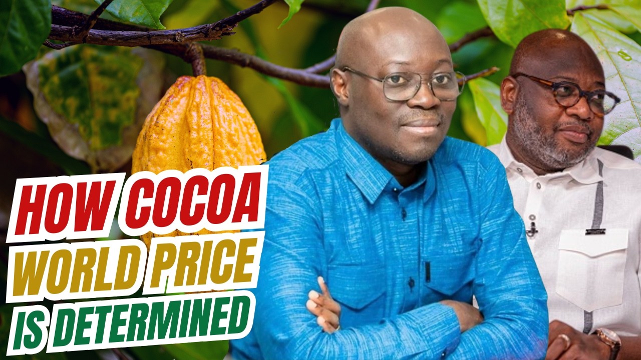 Ghana Cocoa Farmers vs Nestle: How World Price of Cocoa is Determined on Futures Market