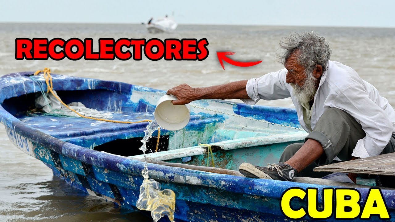 Los Desconocidos recolectores de ALMEJAS en Cuba 🇨🇺