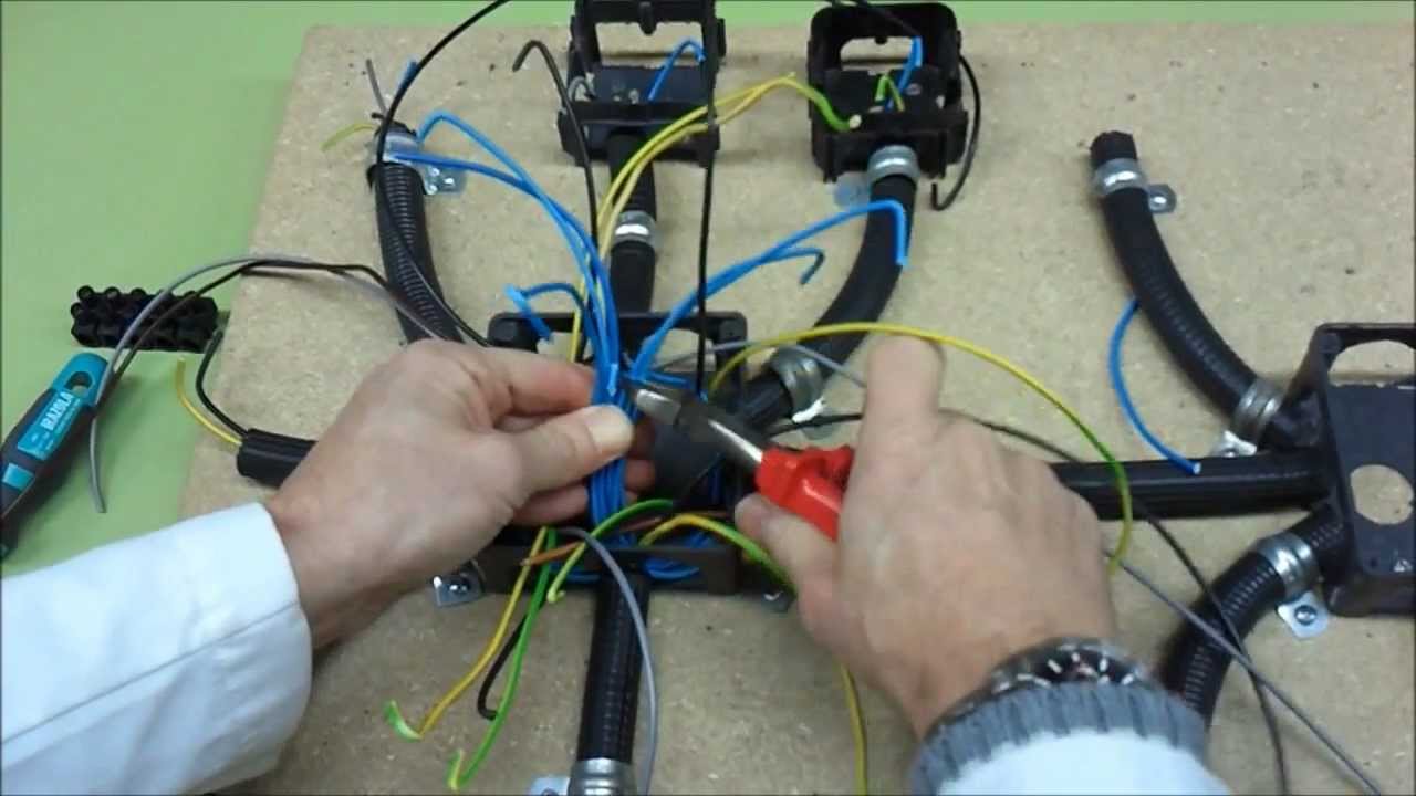 Electricista. Cableado de caja de registro (1º de 4 vídeos)