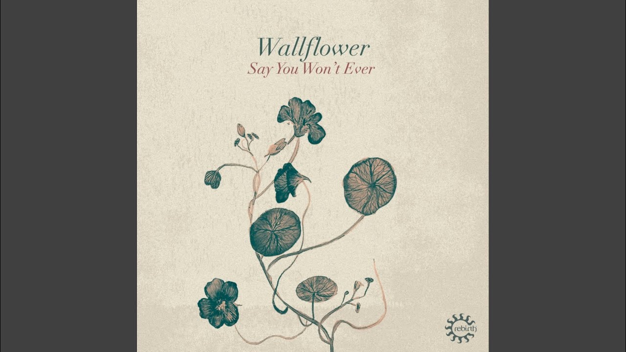 Say You Won't Ever (Larry Heard Club Mix)