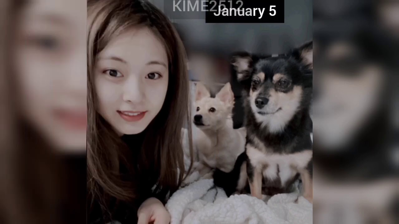 SaTzu-not real?