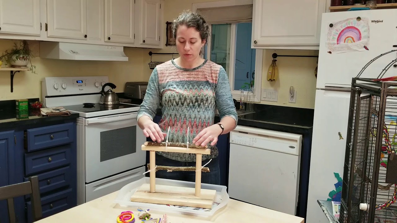 DIY Parrot Perch - Small Bird Play Gym How To