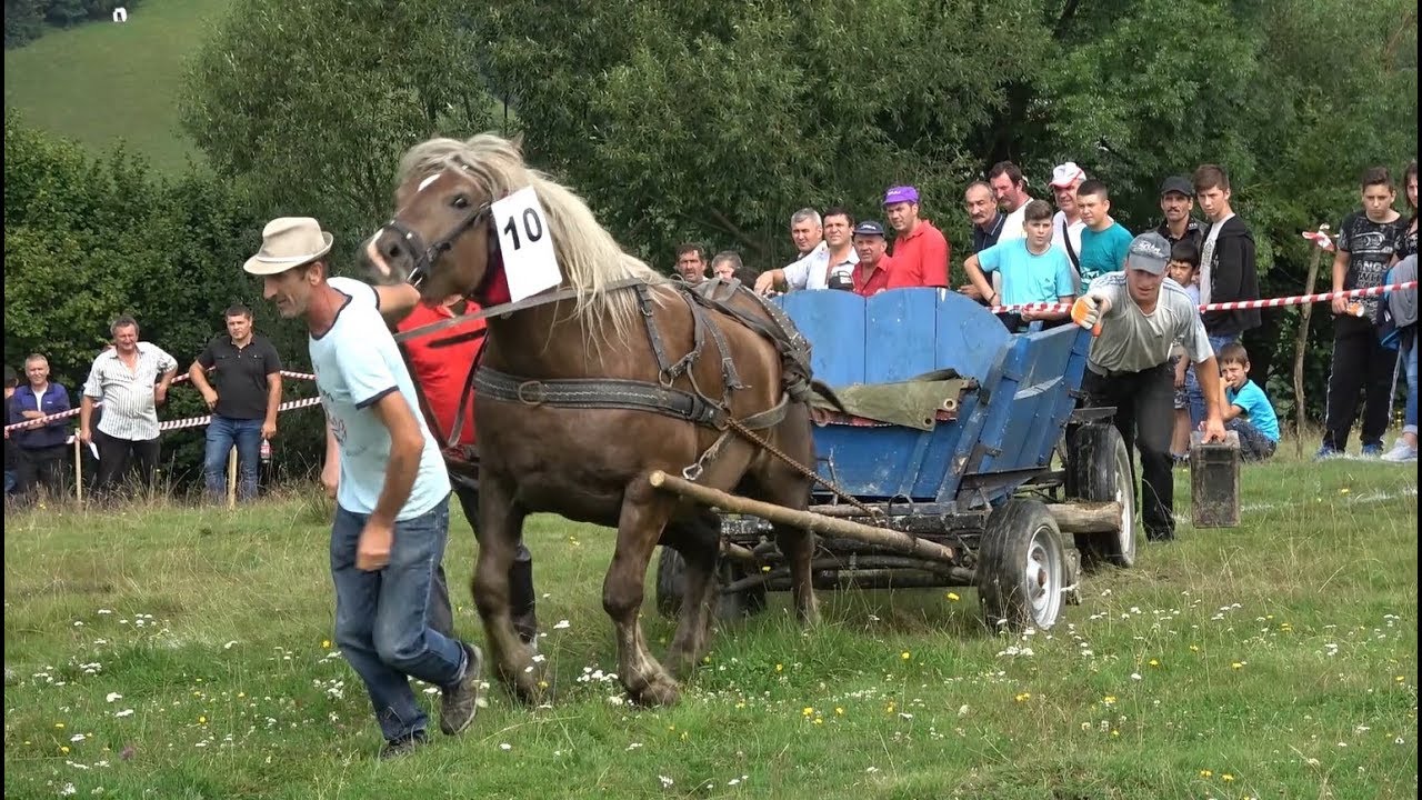 Concurs cu cai de tractiune Abrud, Alba 28 Iulie 2018