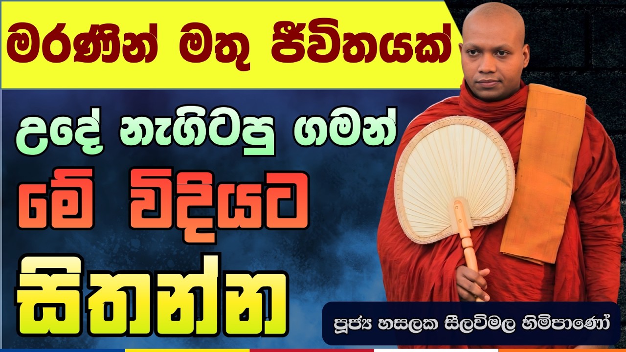 මේ සුදුසුකම නැත්නම් නිවන් දකින්න හිතන්නවත් එපා | Hasalaka Seelavimala Thero