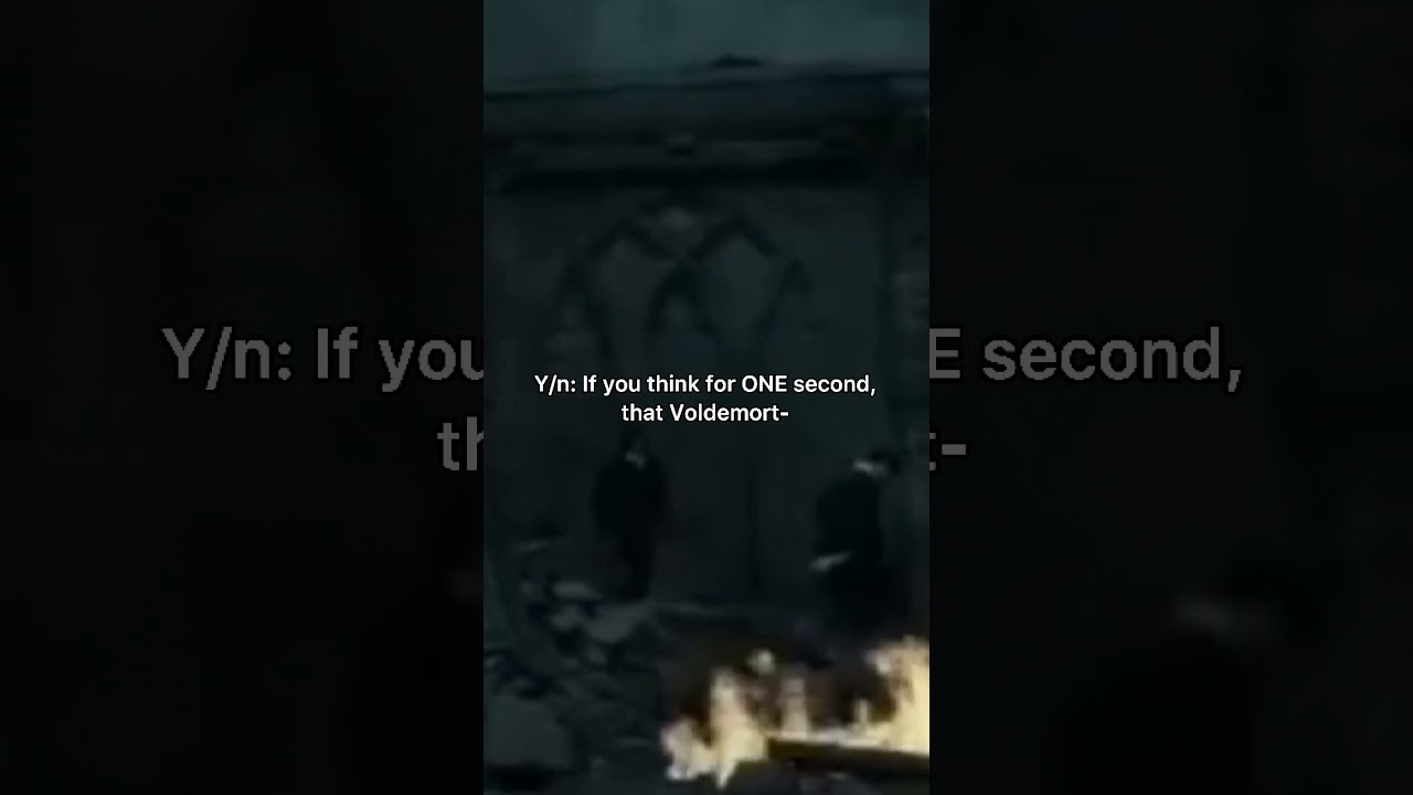 POV: Y/n kills Voldemort. (If we burn, you BURN with US!)