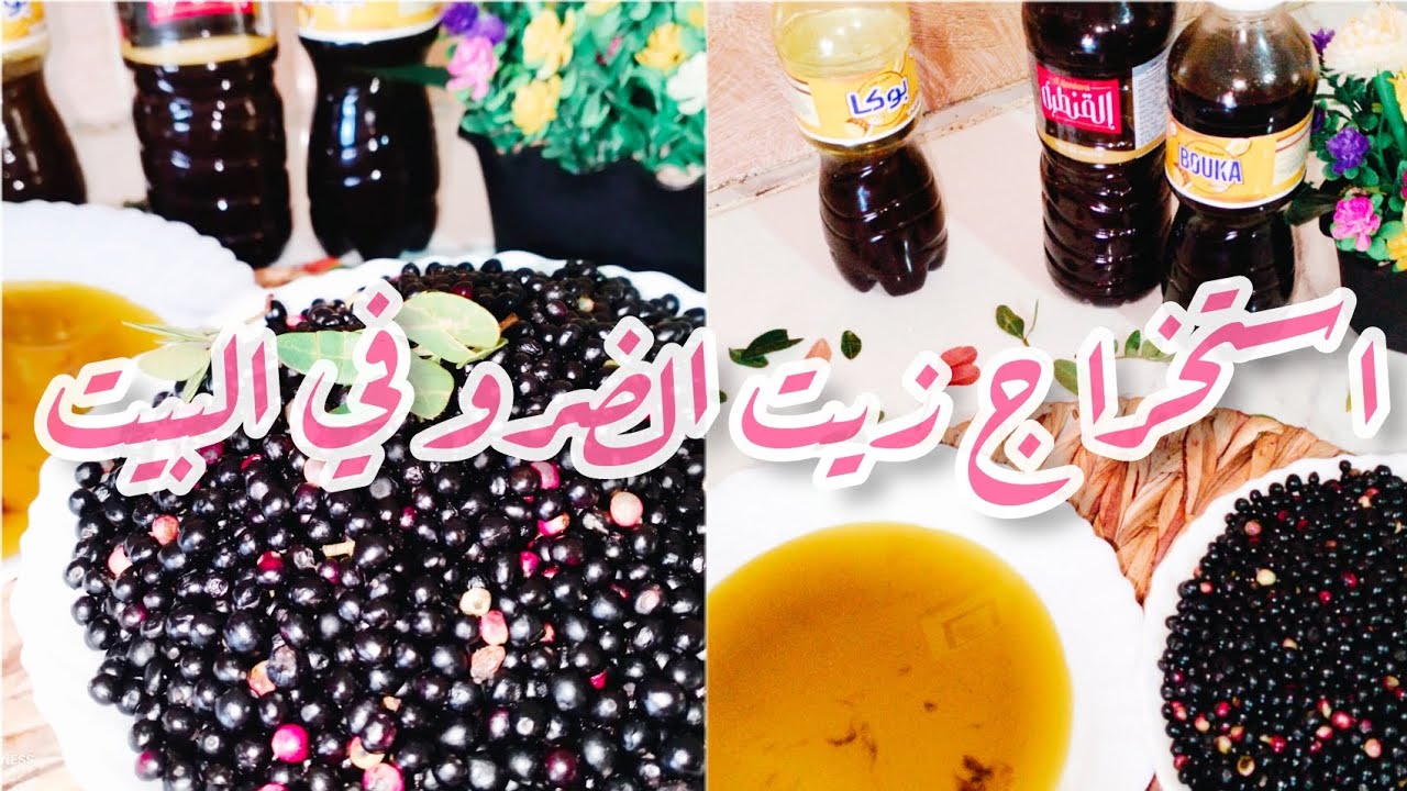 #زيت الضرو #استخراج زيت الضرو الطبيعي من الثمار في المنزل طريقة#القضوم الصحية مع كامل اسرار نجاحو 🍁🌿