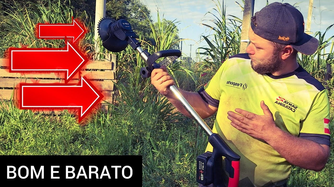 TESTEI O APARADOR DE GRAMA A BATERIA DA SHOPEE !(MUITA POTÊNCIA)