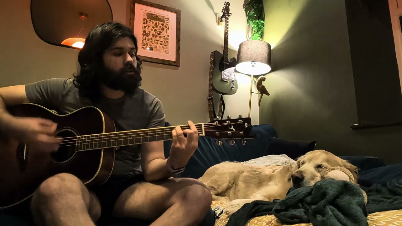 Free As a Bird - The  Beatles (cover) ft sleepy Herb