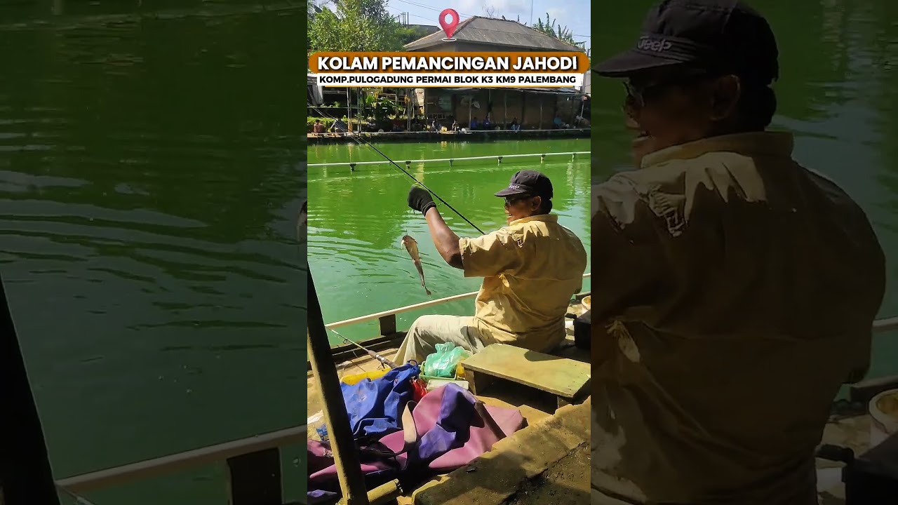 mancing lele di hari Minggu 25 JANUARI 2026