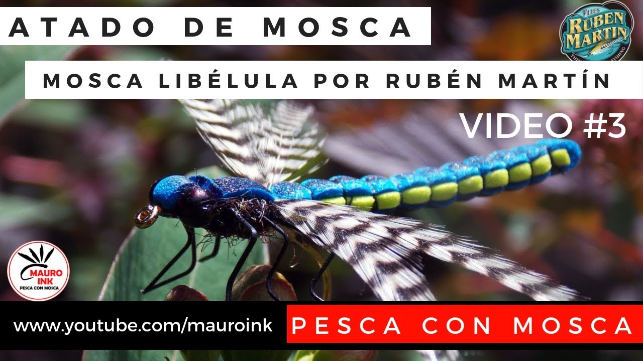 ATADO DE MOSCA 🦋 LIBÉLULA PESCA CON MOSCA | FLY FISHING