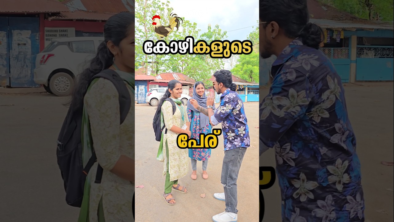 all kozhi's comeon here 🔥 #vlogstar #vlogstarvishnu #publicreaction #trending