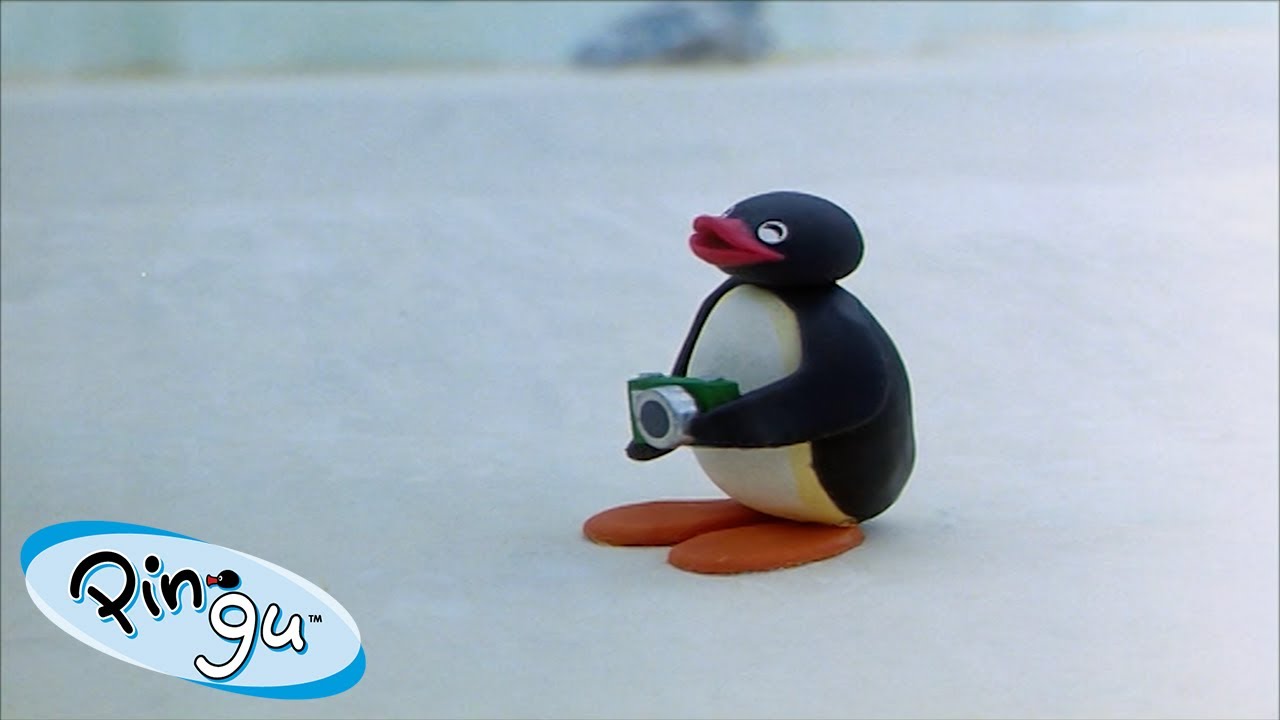 Best Episodes from Season 2 | Pingu - Official Channel | Cartoons For Kids