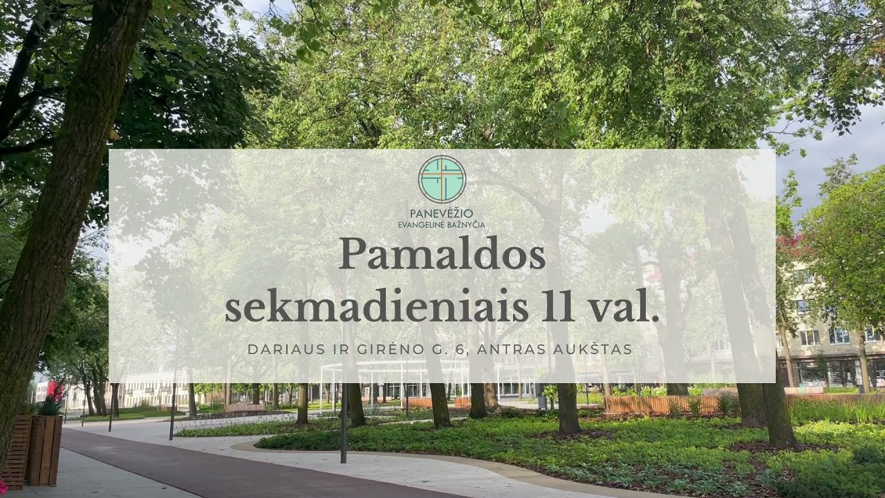 Informacija apie bažnyčios veiklas